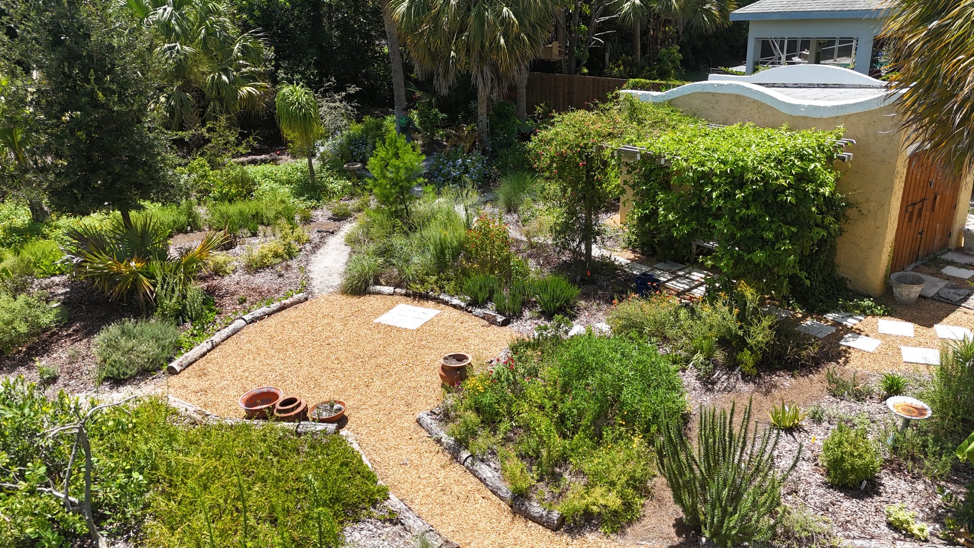 A Longleaf Design native garden in Hobe Sound, Florida: sugar-sand nature paths winding between planted islands of natives and wildflowers, with a crew member working among the beds.