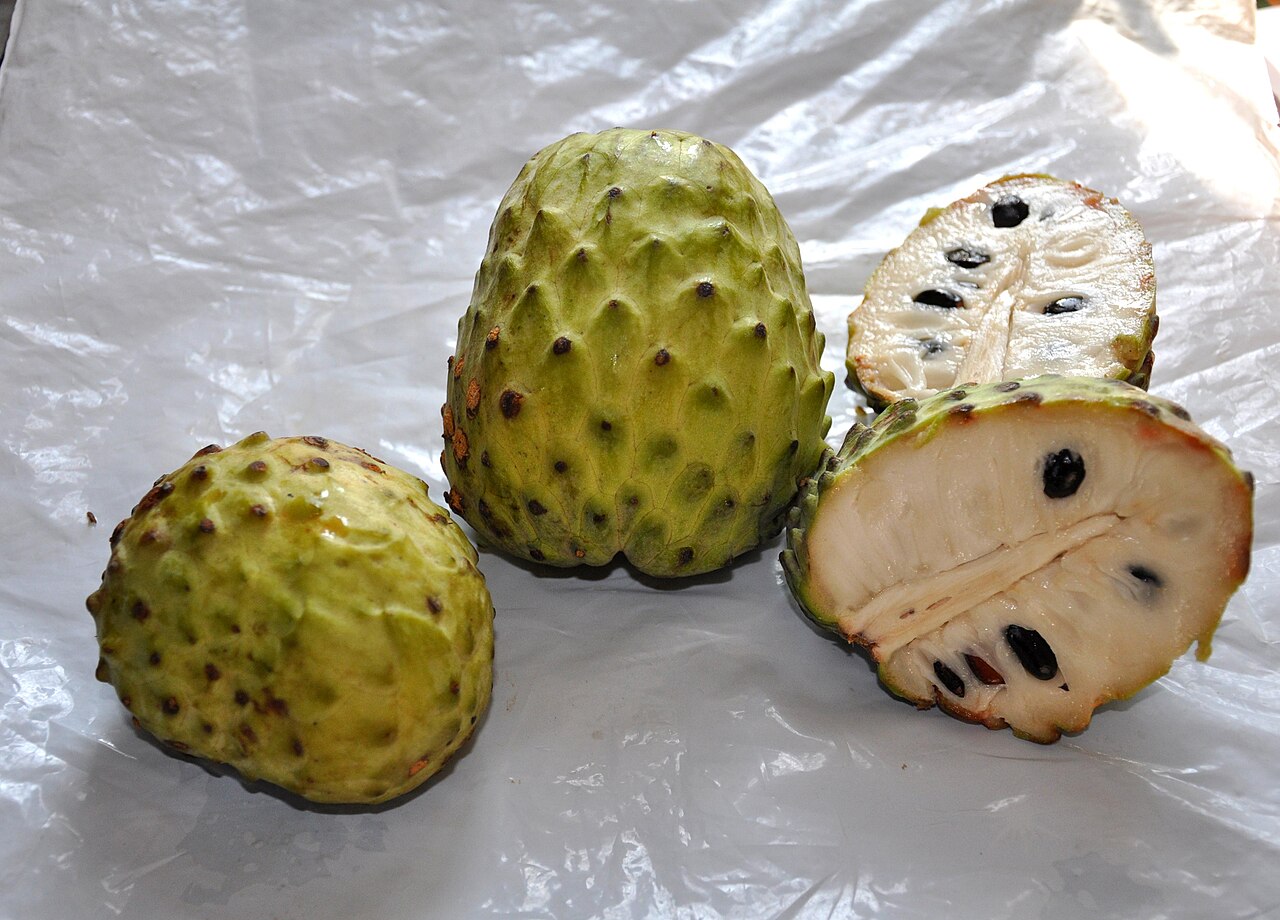 Atemoya, Annona x atemoya
