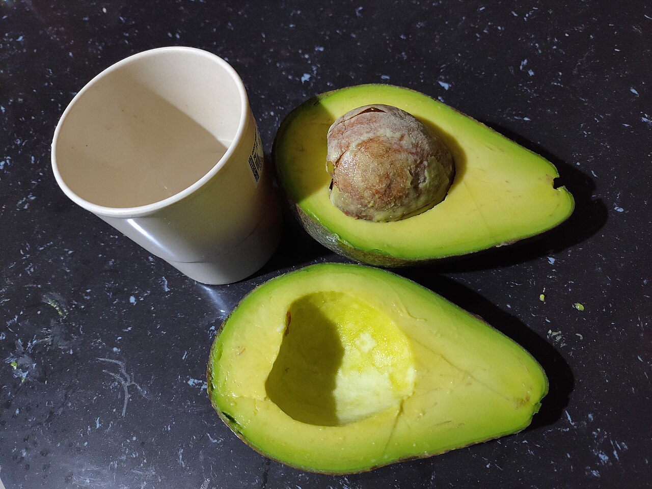Avocado, Persea americana