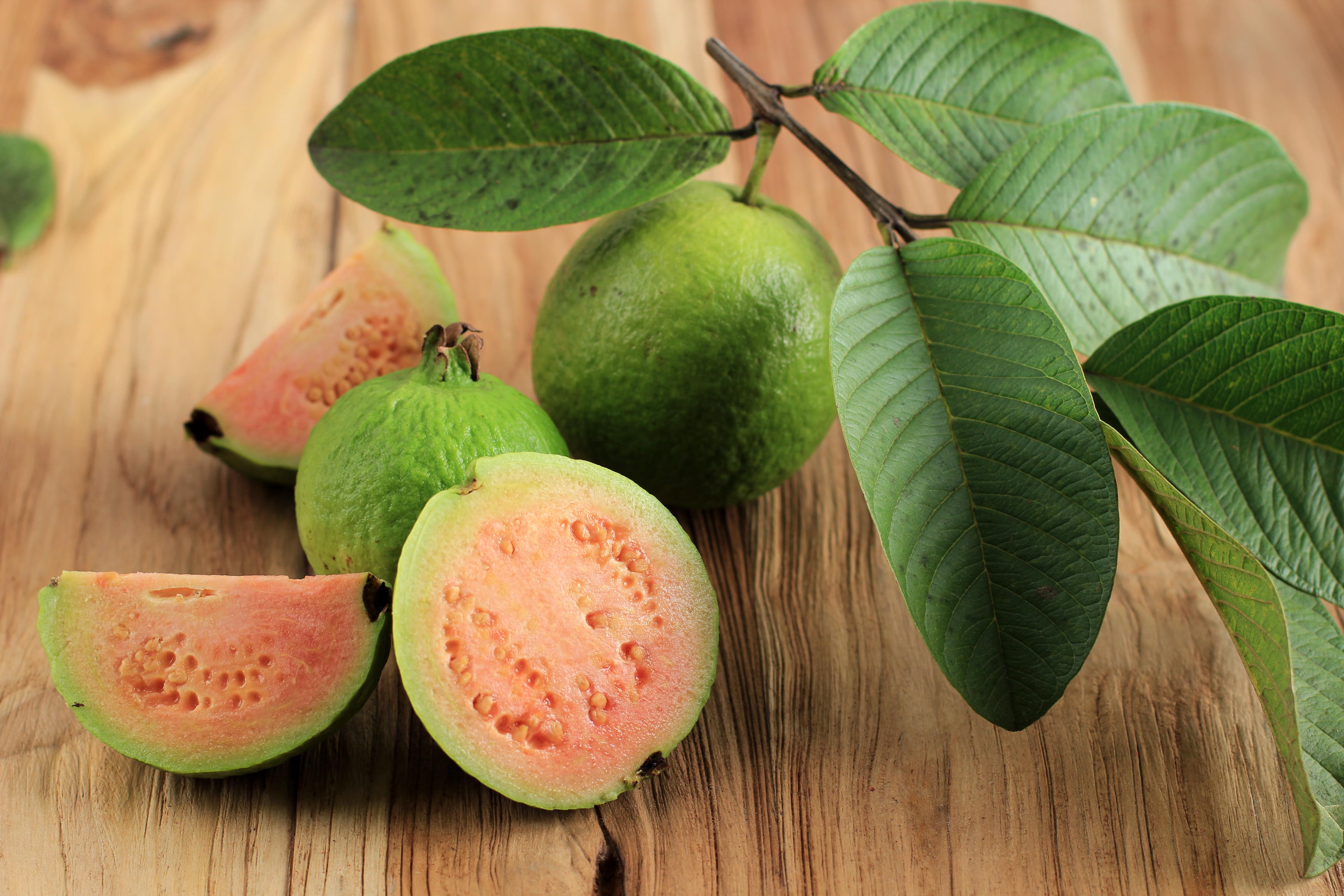 Guava (multiple varieties), Psidium guajava